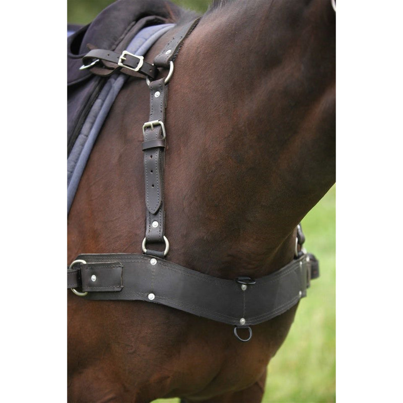Easts Leather Combination Breastplate